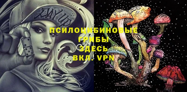 амф Переславль-Залесский
