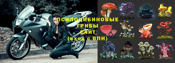 PSILOCYBIN Армянск