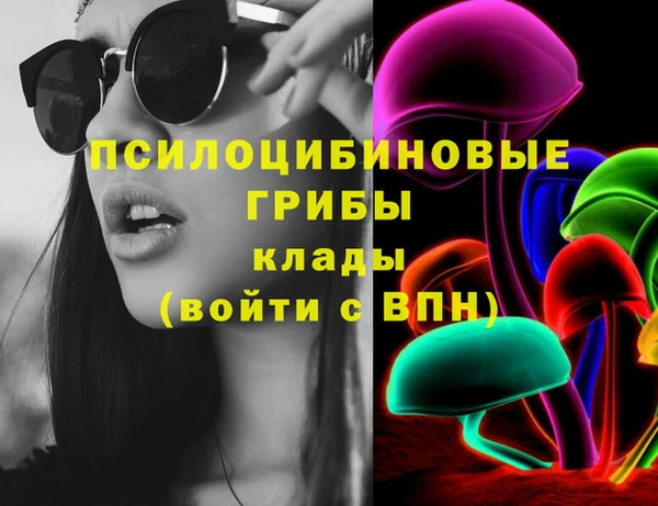 мдпв Арсеньев