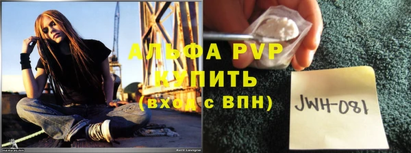 PSILOCYBIN Армянск