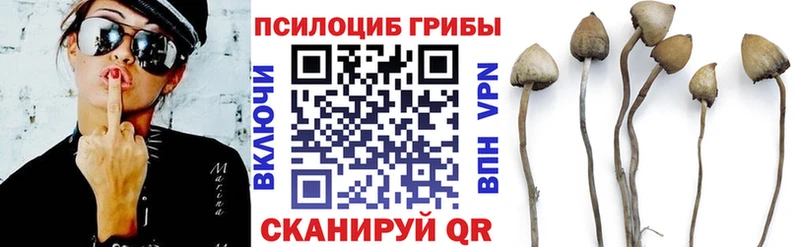 Галлюциногенные грибы мухоморы  Острогожск 